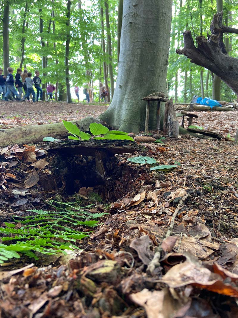 frischluftkinder_muenster_walderkundung_landart