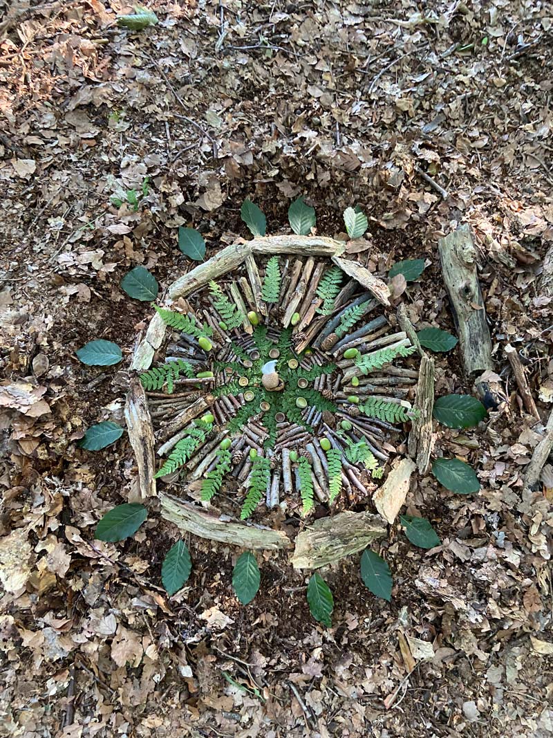 frischluftkinder_muenster_wildnisgruppe_landart