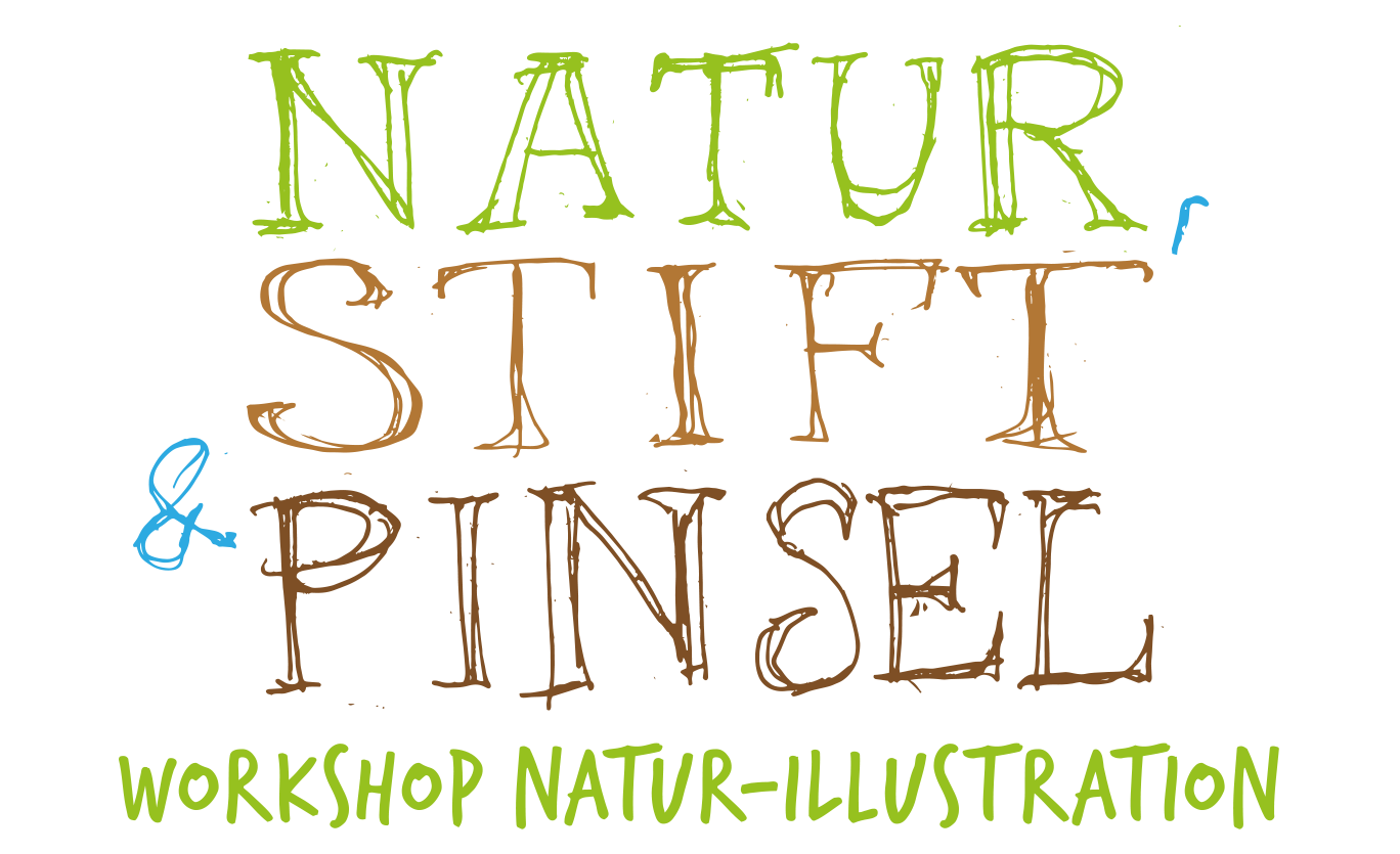 Frischluftkinder_muenster_natur_stift_pinsel_naturillustration