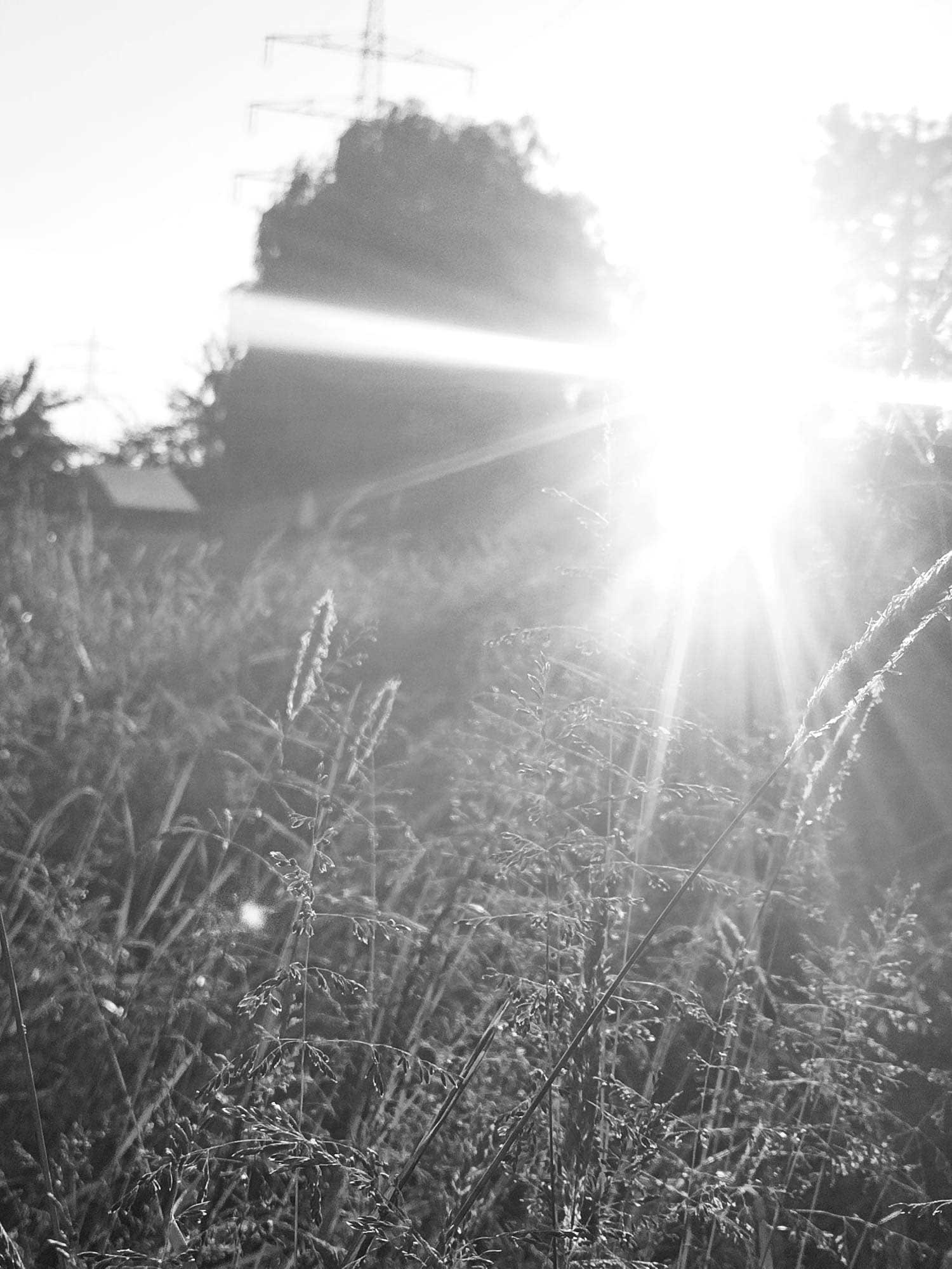 frischluftkinder_frauen_naturgruppe_muenster_sonne