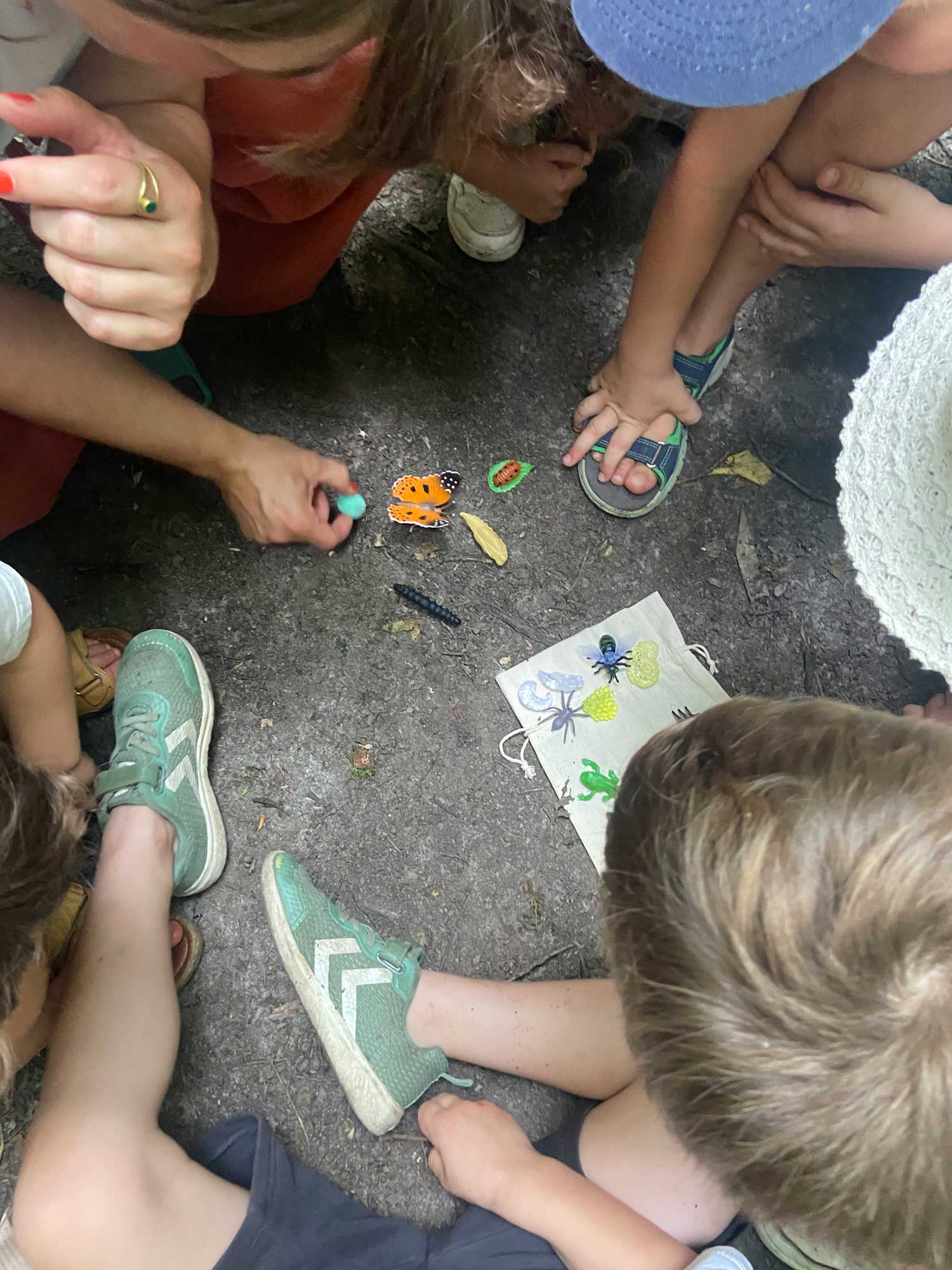 frischluftkinder_muenster_kindergeburtstag_insekten