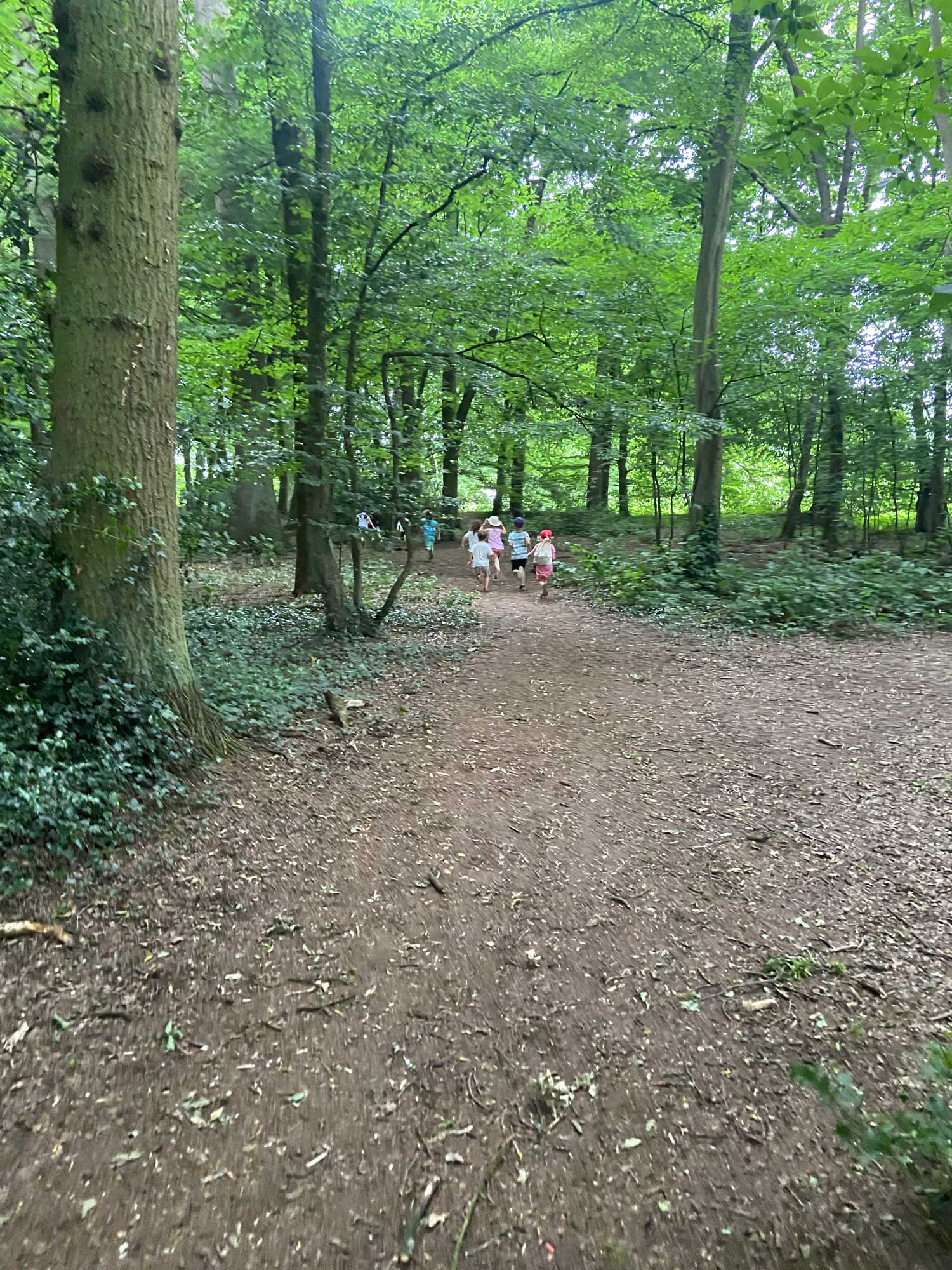 frischluftkinder_muenster_kindergeburtstag_schatzsuche_rallye