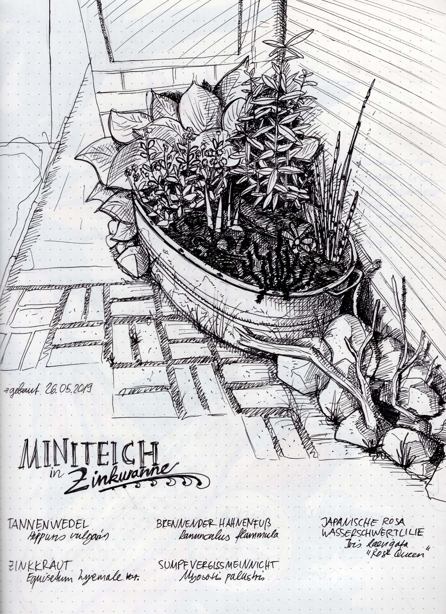 miniteich_zinkwanne_naturejournaling
