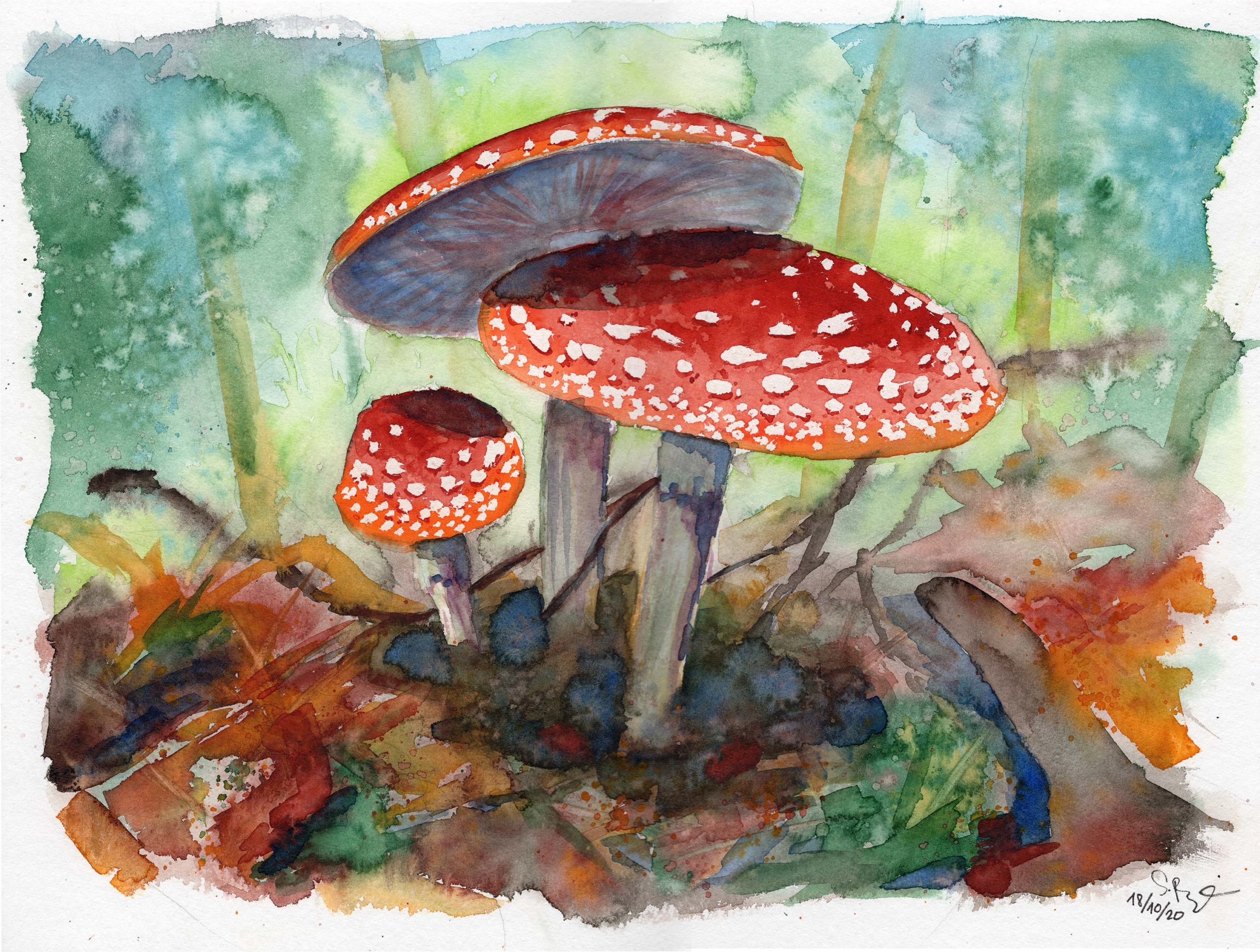 pilz_watercolor-scaled