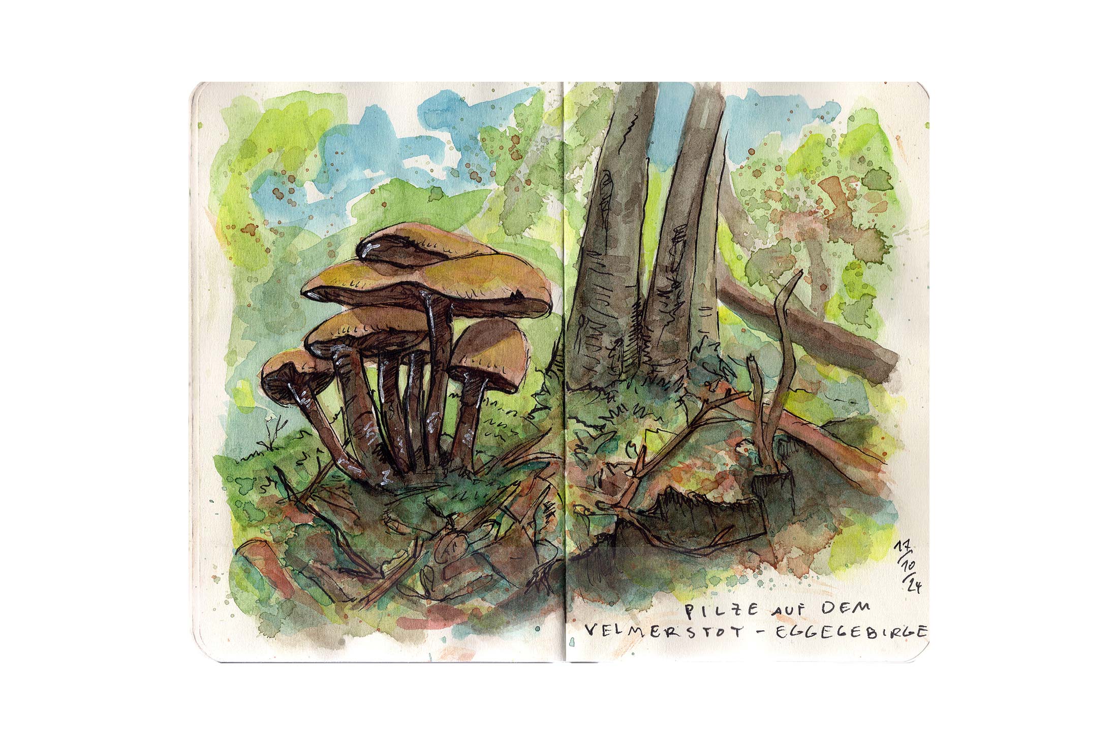 sketchbook_24-25–19