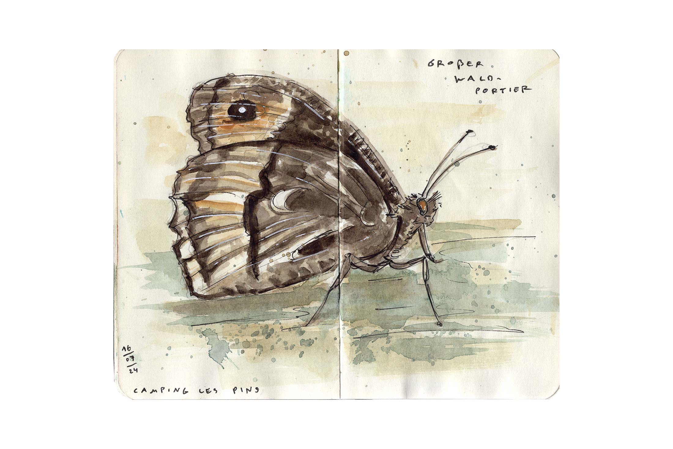 sketchbook_24-25–5